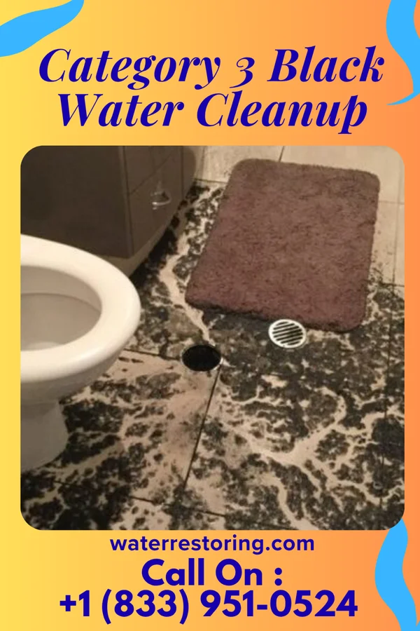Category 3 Black Water Cleanup in Sam Rayburn, TX