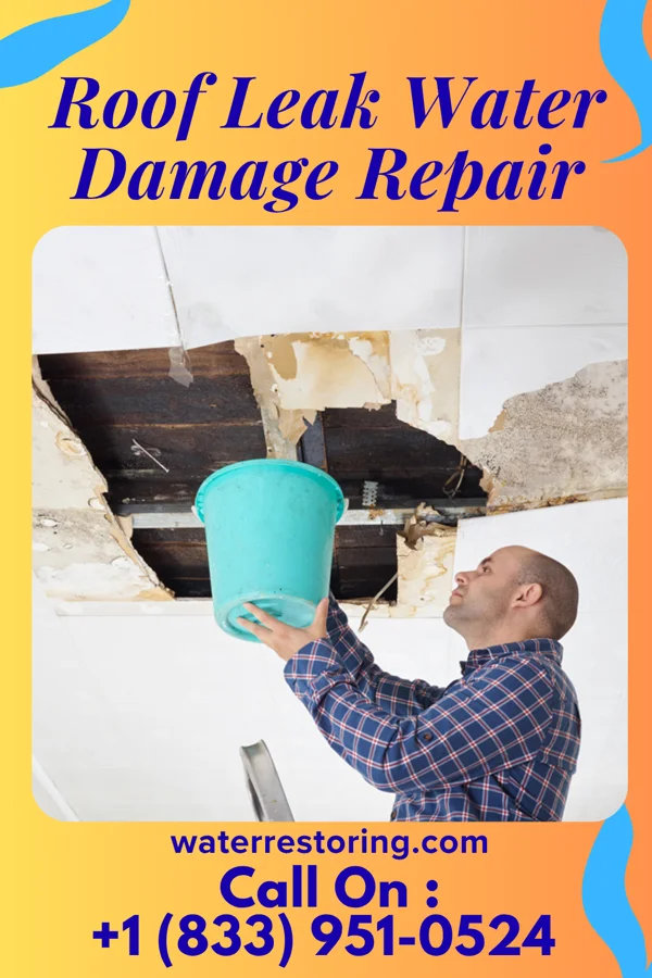Roof Leak Water Damage Repair in Sam Rayburn, TX