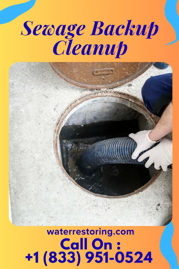 Sewage Backup Cleanup in Sam Rayburn, TX